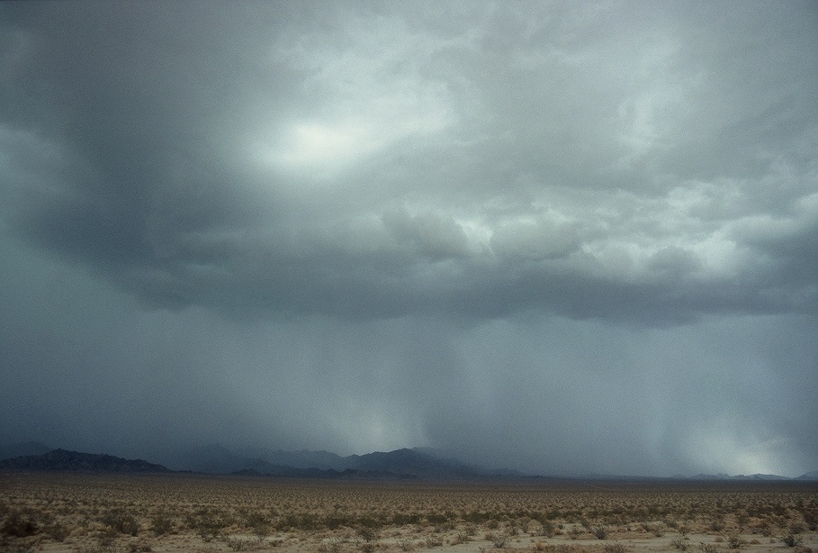 Дожди в пустыне
