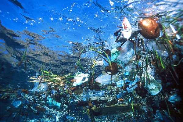проблема загрязнения вод мирового океана