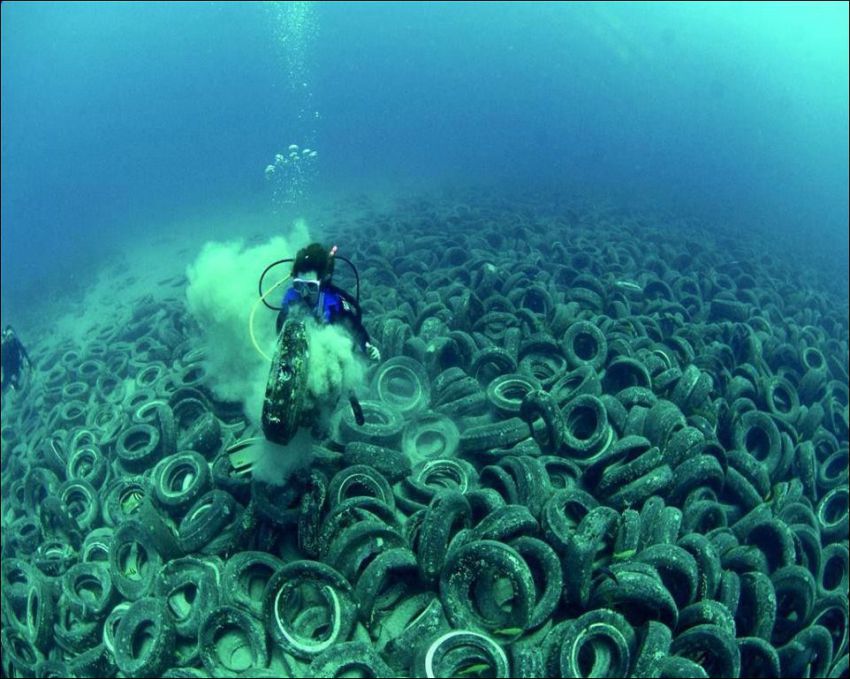 последствия загрязнения мирового океана