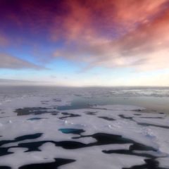 Условия в океане и развитие морских льдов
