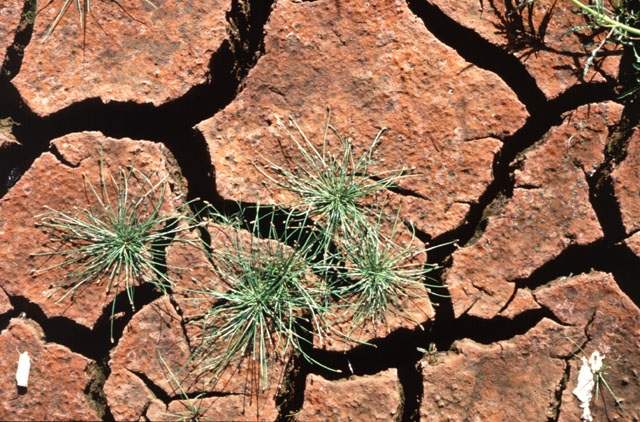 Определение эрозии почвы