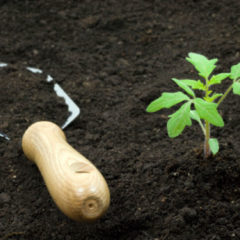 улучшение плодородия почв