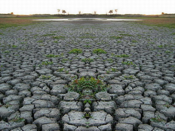 Засуха в пустынях