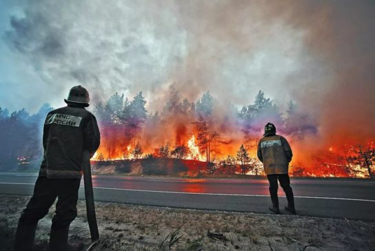 Лесные пожары в России 2022
