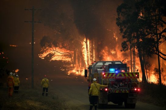 лесной пожар в Австралии