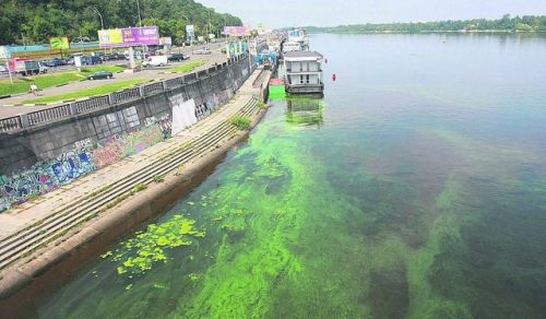Загрязнение реки Днепр