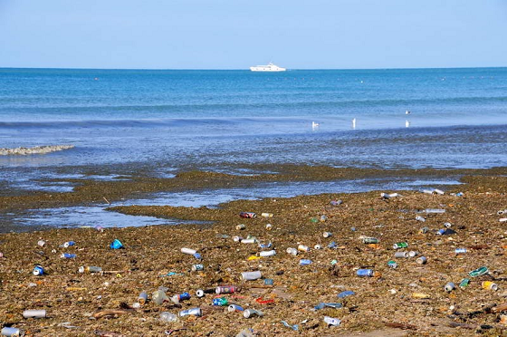 Загрязненное море