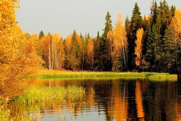 Природа Татарстана