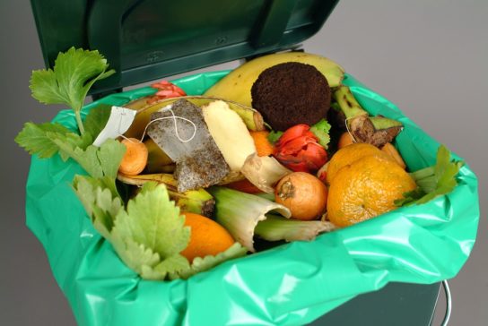 Определение пищевых отходов