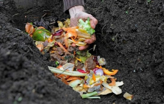 Как страны решают проблемы пищевых отходов