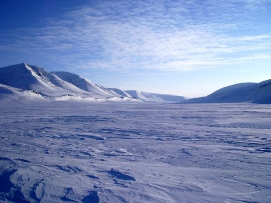 Арктические пустыни хозяйственная деятельность населения. Описание и особенности природной зоны арктических пустынь. Рельеф арктической пустыни