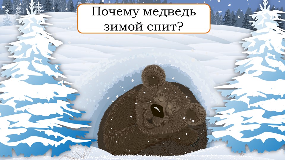 Картинки для детей медведь в спячке