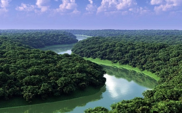 Река амазонка рисунок
