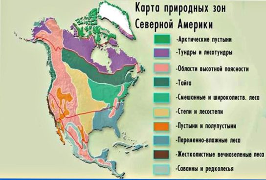 Природные зоны Северной Америки - карта