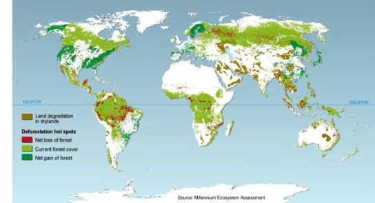 экологические проблемы сокращение площади лесов