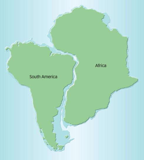 Сходства и различия Южной Америки и Африки