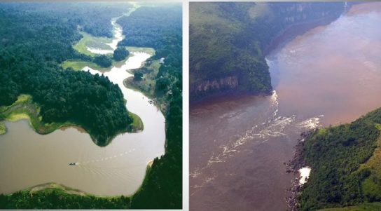 Сходства и различия Амазонки и Конго