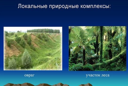 Природно-территориальные комплексы Южной Сибири