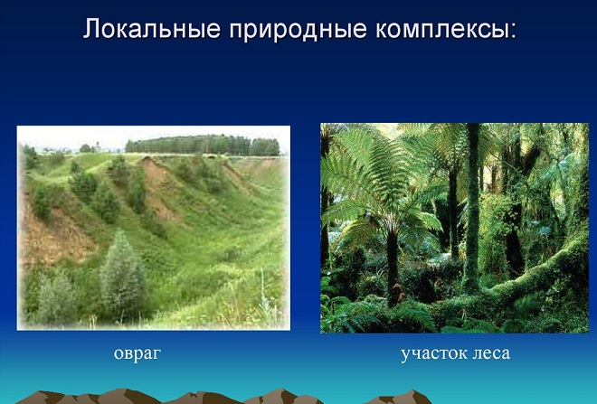 Природный комплекс местности по плану. Природные комплексы кемеровскиой области.