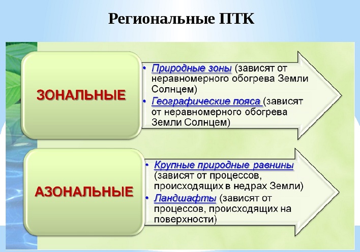 Охарактеризуйте природный комплекс оврага по плану