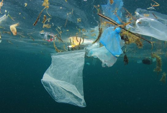 Проблемы загрязнения океана пластиком