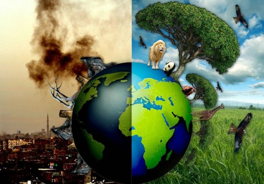 Что такое экология