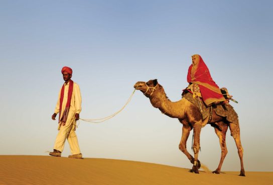 Взаимосвязь верблюда и человека