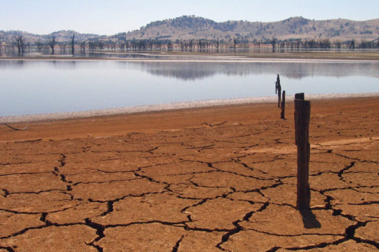 Последствия австралийской засухи тысячелетия