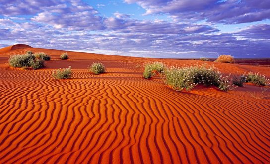 Где расположена большая песчаная пустыня