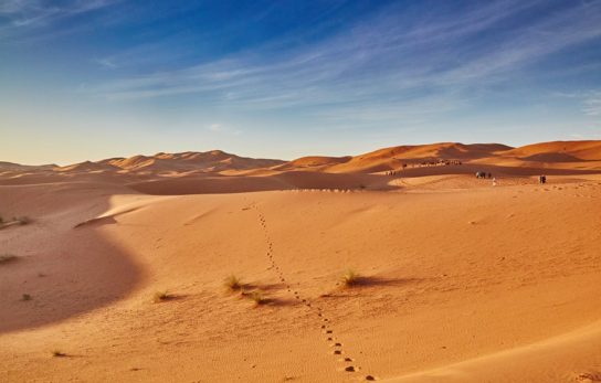 Население большой песчаной пустыни