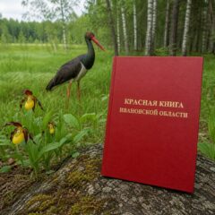 Красная книга Ивановской области