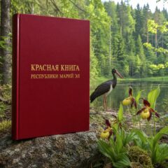 Красная книга Республики Марий Эл