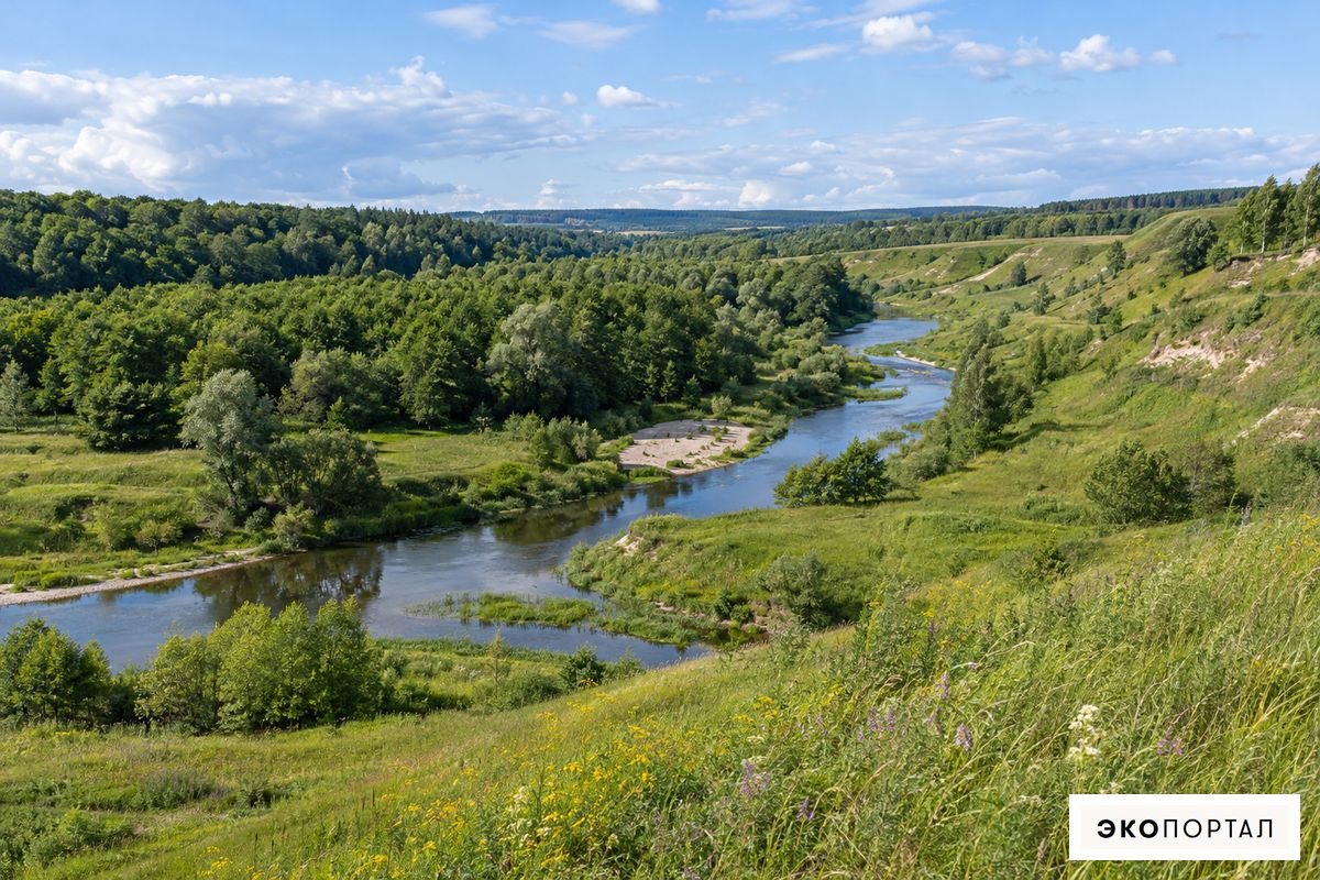 Речная долина в лесостепи