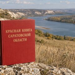 Красная книга Саратовской области