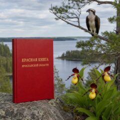 Красная книга Ярославской области