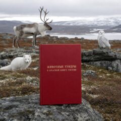 Животные тундры Красной книги