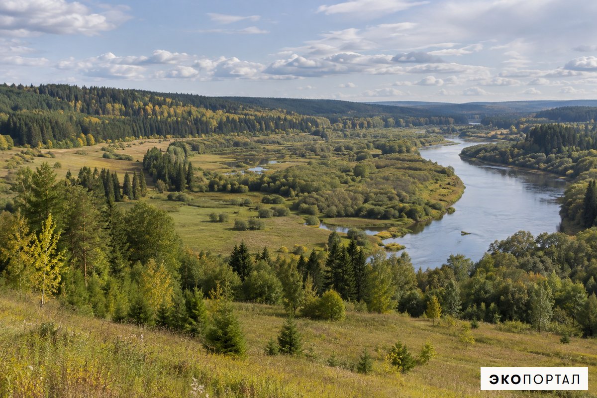 Мозаика лесов, лугов и речных долин Удмуртии