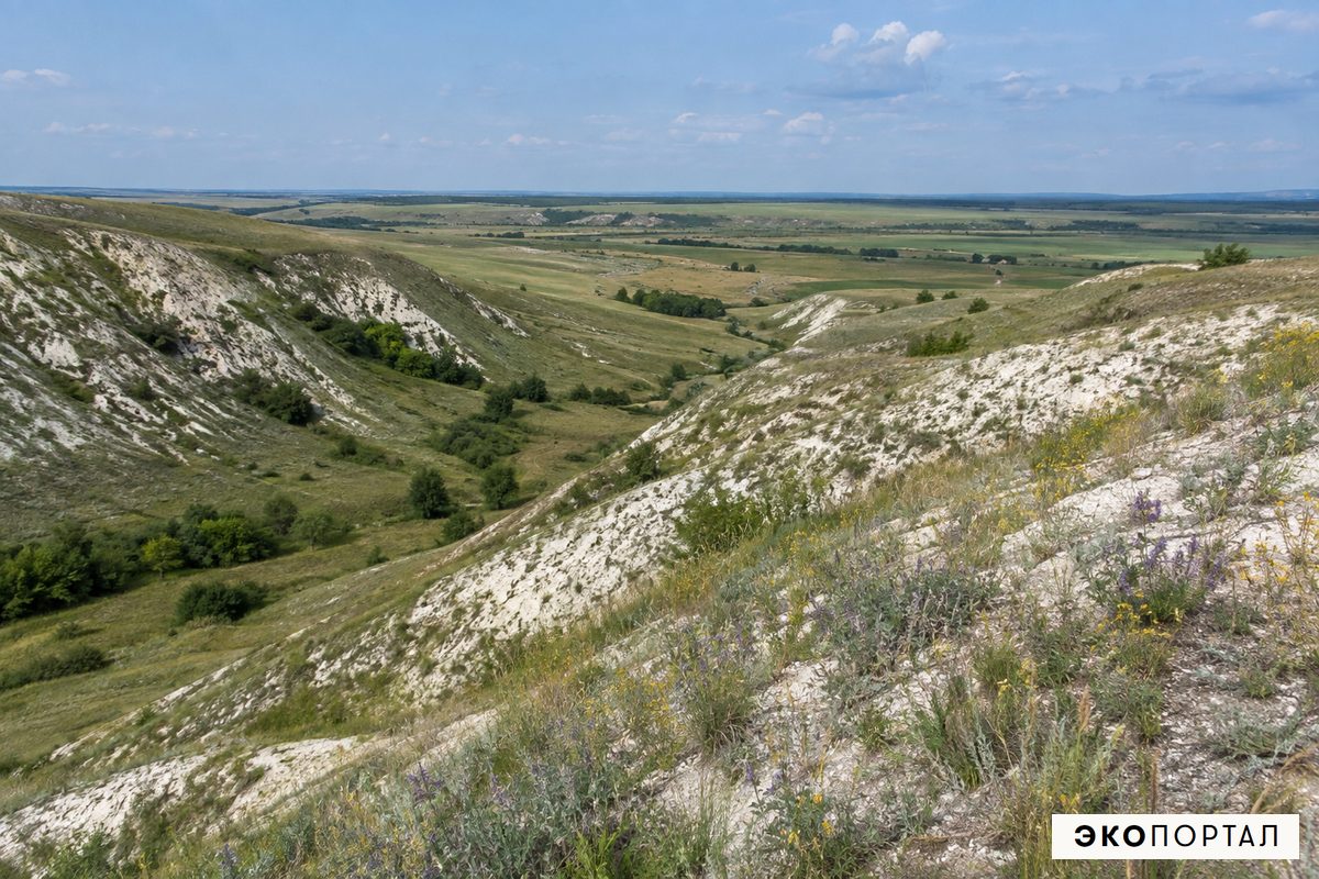 Меловая степь