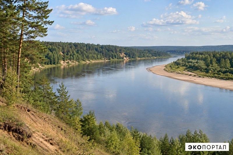 Река Вятка и пойменные леса